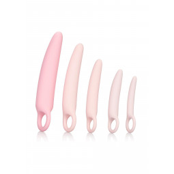 Фалоімітатор INSPIRE SILICONE DILATOR 5 PCS SET