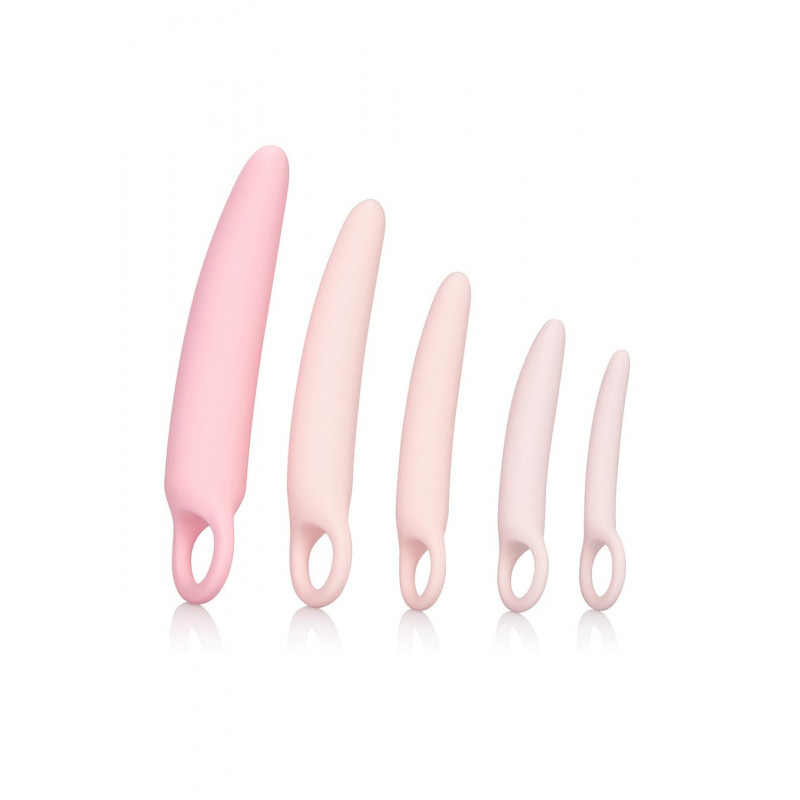 Фалоімітатор INSPIRE SILICONE DILATOR 5 PCS SET