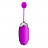 PRETTY LOVE ABNER EGG 12 function vibrations USB