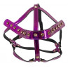 Head Harness